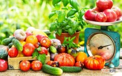 孕妇的食物种类 孕妇便秘是吃的太多吗