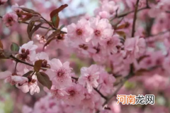 2022年武汉三月份冷不冷