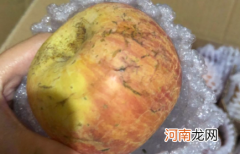 苹果发霉是黄曲霉素吗