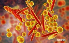 支原体感染会导致流产吗 支原体阳性是性病吗
