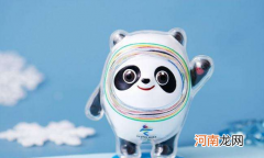 冰墩墩的壳是塑料吗