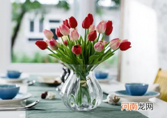 水培郁金香适合冬天养吗