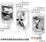 捕捉甲流重症的蛛丝马迹