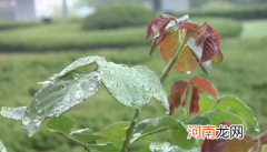 2022年立夏具体时间是几月几号几点几分