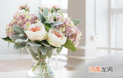 醒花用井水还是自来水