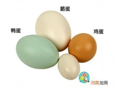鸡蛋鸭蛋鹅蛋的营养有什么区别