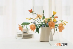 醒花用自来水还是纯净水