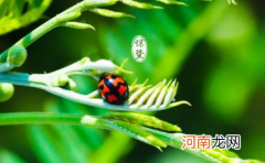 惊蛰之后穿什么衣服2023