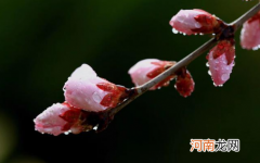 2022年春天会不会干旱