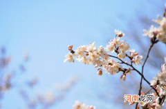 2022年春天是暖春还是冷春