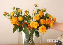 网购鲜花是空运还是陆运