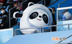 冰墩墩只能买一个吗