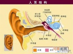 为何孩子患感冒后易患中耳炎
