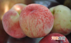 想桃子什么意思网络语