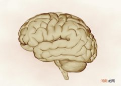 高泌乳素血症有哪些临床表现 引起泌乳素升高的原因有哪些