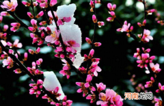 ?2022倒春寒会很冷吗