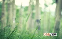 2022清明上坟烧纸一定要画圈吗