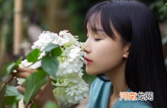 李子柒的视频为什么不更新了2021