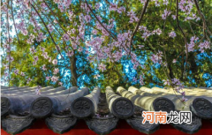 2022年北京3月份温度是多少