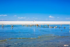 世界海拔最高湖泊详细介绍 海拔最高的湖在哪里