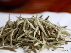 白毫银针为什么这么贵