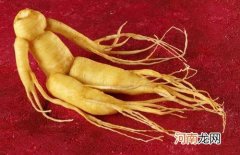人参的食用方式及禁忌汇总 人参怎么吃效果最好有营养