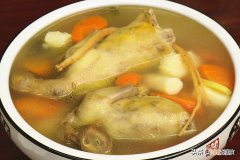 清炖乳鸽的做法家常制作步骤 鸽子汤的做法与配料