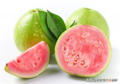 芭乐怎么吃才好吃