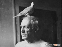 毕加索是什么画派的代表人物