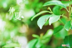 仲夏是几月份