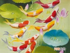 鱼的寓意和象征