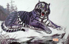 黑蓝虎是什么虎