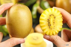 猕猴桃是热性还是凉性能多吃吗