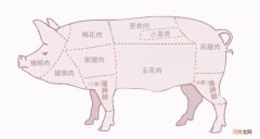 里脊肉是什么肉是哪个部位