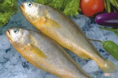 黄花鱼是海鱼吗