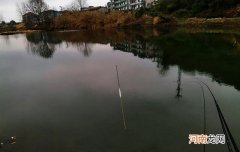 参考这3个标准，可判断浮漂是否调好