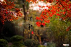 晚秋是阳历几月 晚秋什么时候开始