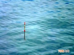 调漂不会找底，不如试试这两个方法