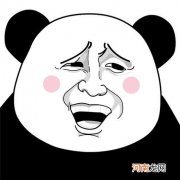 龟毛是什么意思求解释