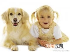 如何做到宠物和健康兼得