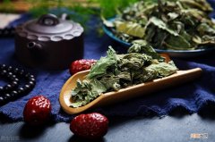 桑树的功效与作用 桑树的作用有哪些