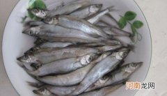 多春鱼的营养价值及功效 多春鱼怎么去内脏