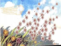 植物传播种子的10种方式 大自然植物传播种子的方法有哪些