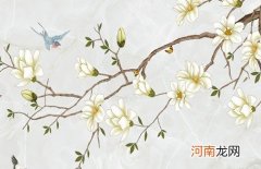 兔年年头出生的男生命好不好 2023年文质彬彬的男孩名字