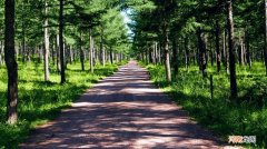 前人栽树后人乘凉的意思解释