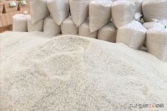 怎样分辨籼米和粳米哪个好 籼怎么读什么意思