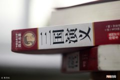 关于蔡瑁的简介及结局 蔡瑁怎么死的