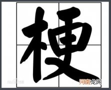 ea7属于奢侈品吗 ea7是什么意思网络用语