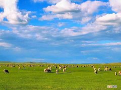 中国最大草原介绍及相关故事 中国最大的草原是哪个草原