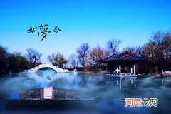 李清照的惊起一滩鸥鹭中的鸥鹭是什么动物?